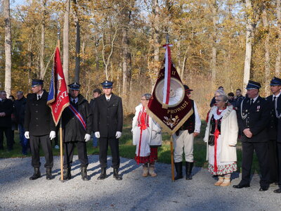 Grafika dekoracyjna